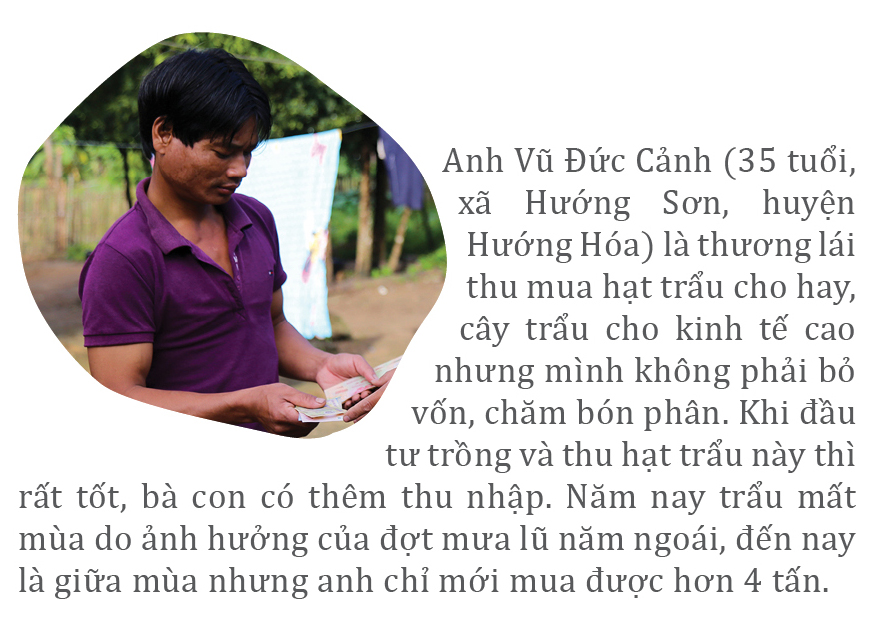 Người dân huyện miền núi Quảng Trị vào mùa thu hoạch trẩu ảnh 14