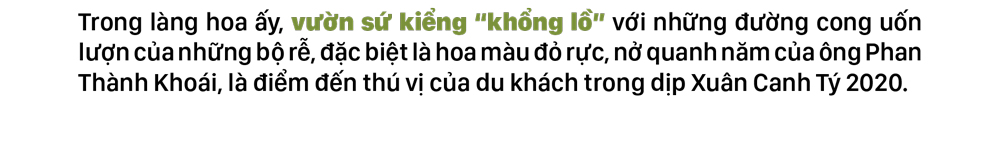 Ngắm sứ 'khổng lồ' tại Làng hoa Sa Đéc ảnh 3