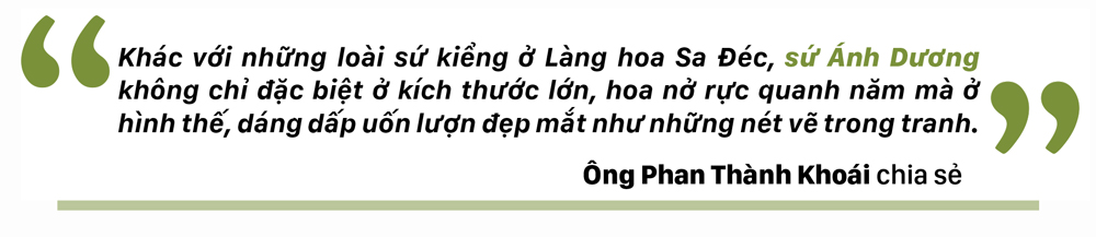 Ngắm sứ 'khổng lồ' tại Làng hoa Sa Đéc ảnh 5