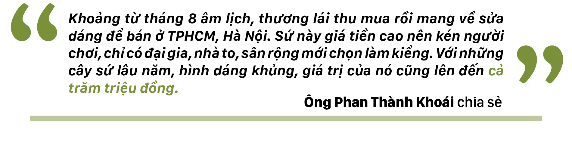Ngắm sứ 'khổng lồ' tại Làng hoa Sa Đéc ảnh 7