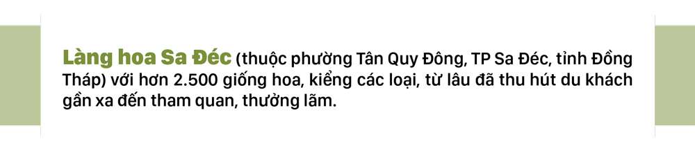 Ngắm sứ 'khổng lồ' tại Làng hoa Sa Đéc ảnh 1