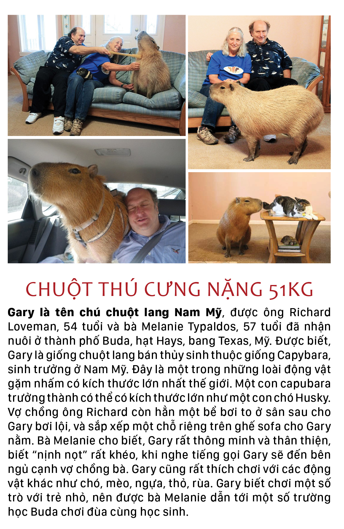 Năm Tý bàn chuyện lạ về chuột ảnh 9