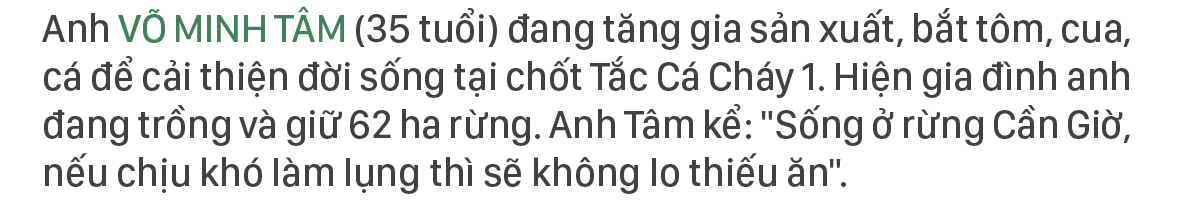 Xanh mãi rừng Cần Giờ ảnh 12