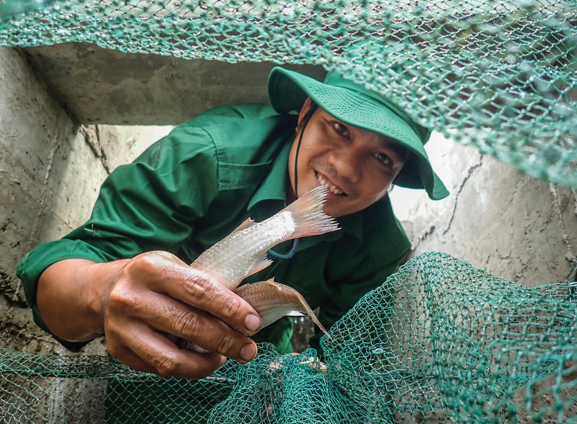 Xanh mãi rừng Cần Giờ ảnh 11