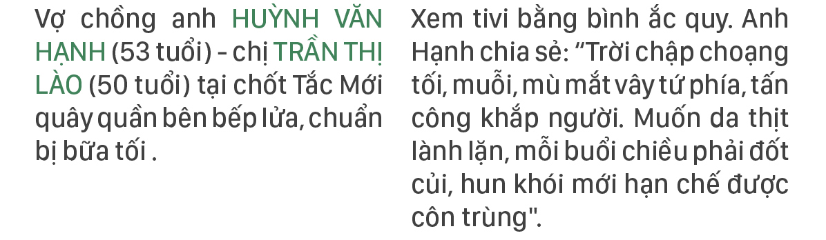Xanh mãi rừng Cần Giờ ảnh 14