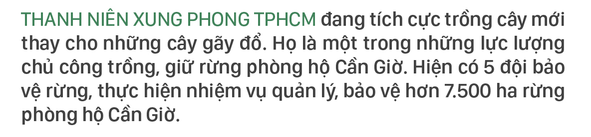 Xanh mãi rừng Cần Giờ ảnh 3