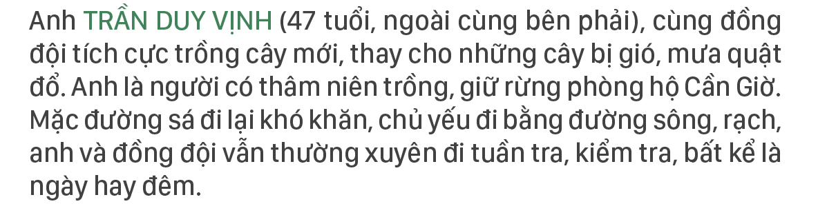 Xanh mãi rừng Cần Giờ ảnh 8