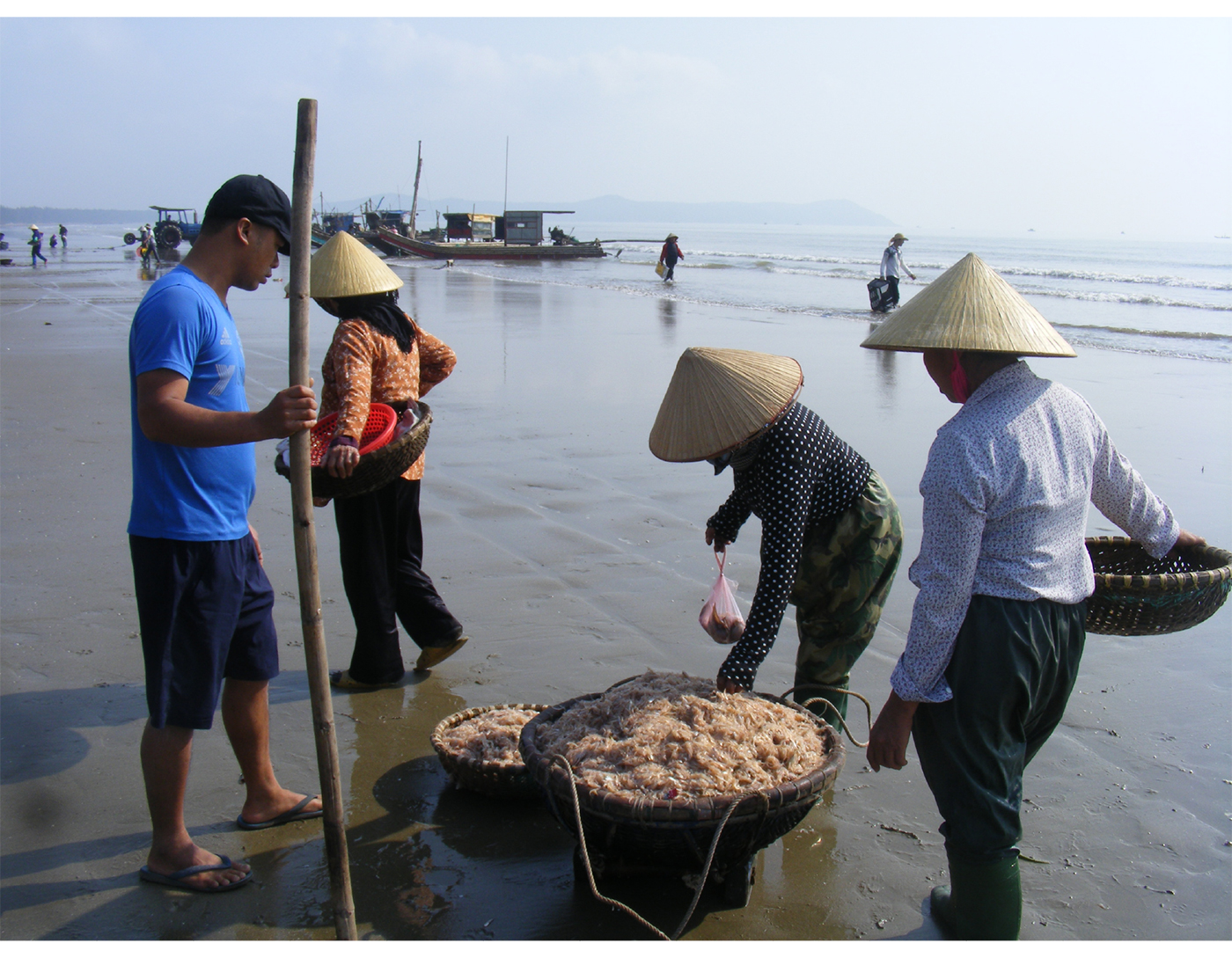 Ngư dân trúng mùa tép biển ảnh 8