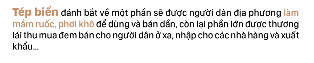 Ngư dân trúng mùa tép biển ảnh 9
