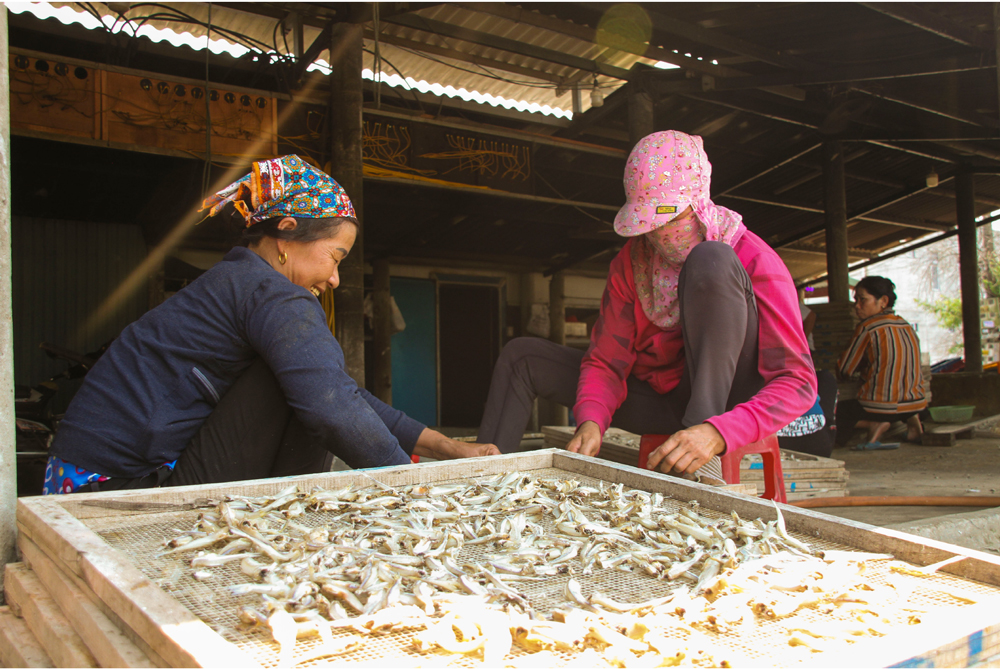 Nhọc nhằn nghề hấp cá phơi khô ảnh 9