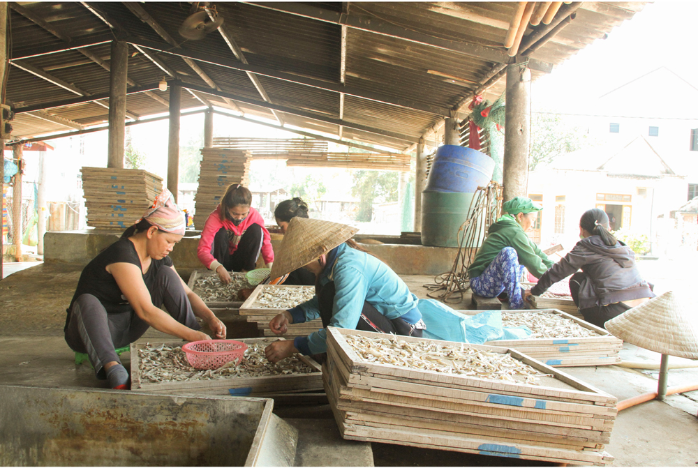 Nhọc nhằn nghề hấp cá phơi khô ảnh 13