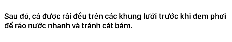 Nhọc nhằn nghề hấp cá phơi khô ảnh 14