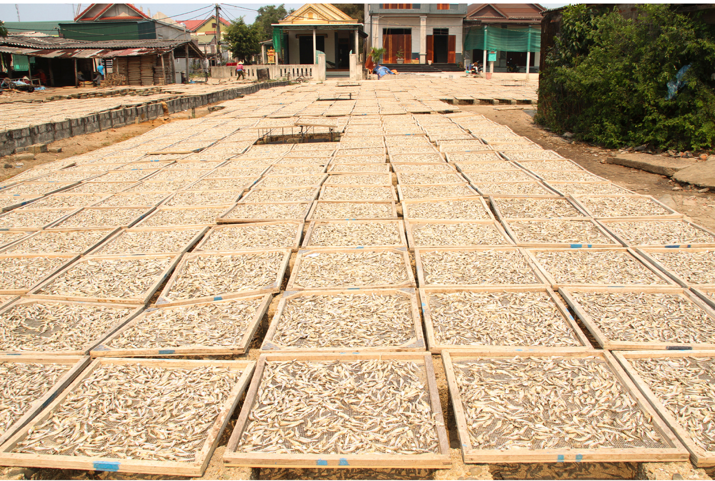 Nhọc nhằn nghề hấp cá phơi khô ảnh 21