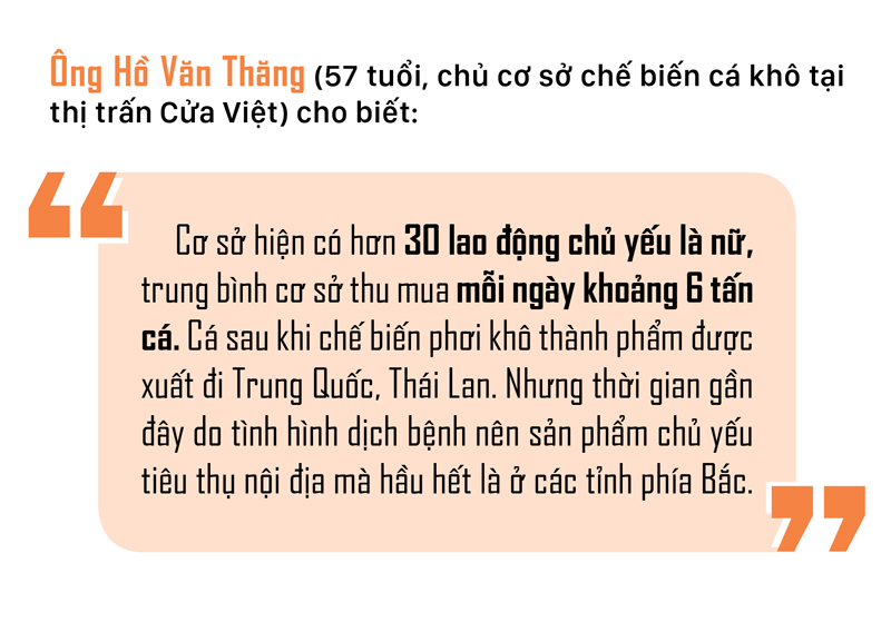 Nhọc nhằn nghề hấp cá phơi khô ảnh 22