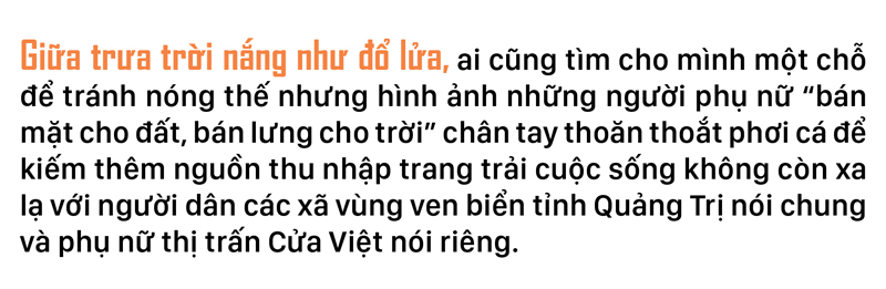 Nhọc nhằn nghề hấp cá phơi khô ảnh 5