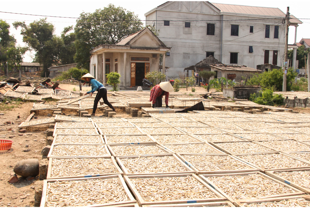 Nhọc nhằn nghề hấp cá phơi khô ảnh 6