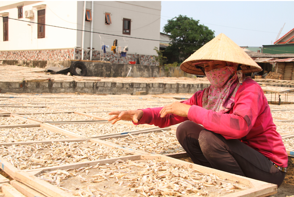 Nhọc nhằn nghề hấp cá phơi khô ảnh 7