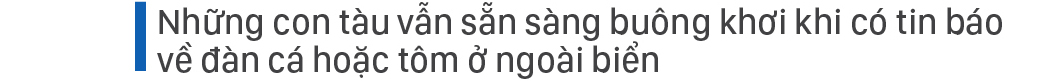 Săn tôm hùm biển kiếm bạc triệu mỗi ngày ảnh 3