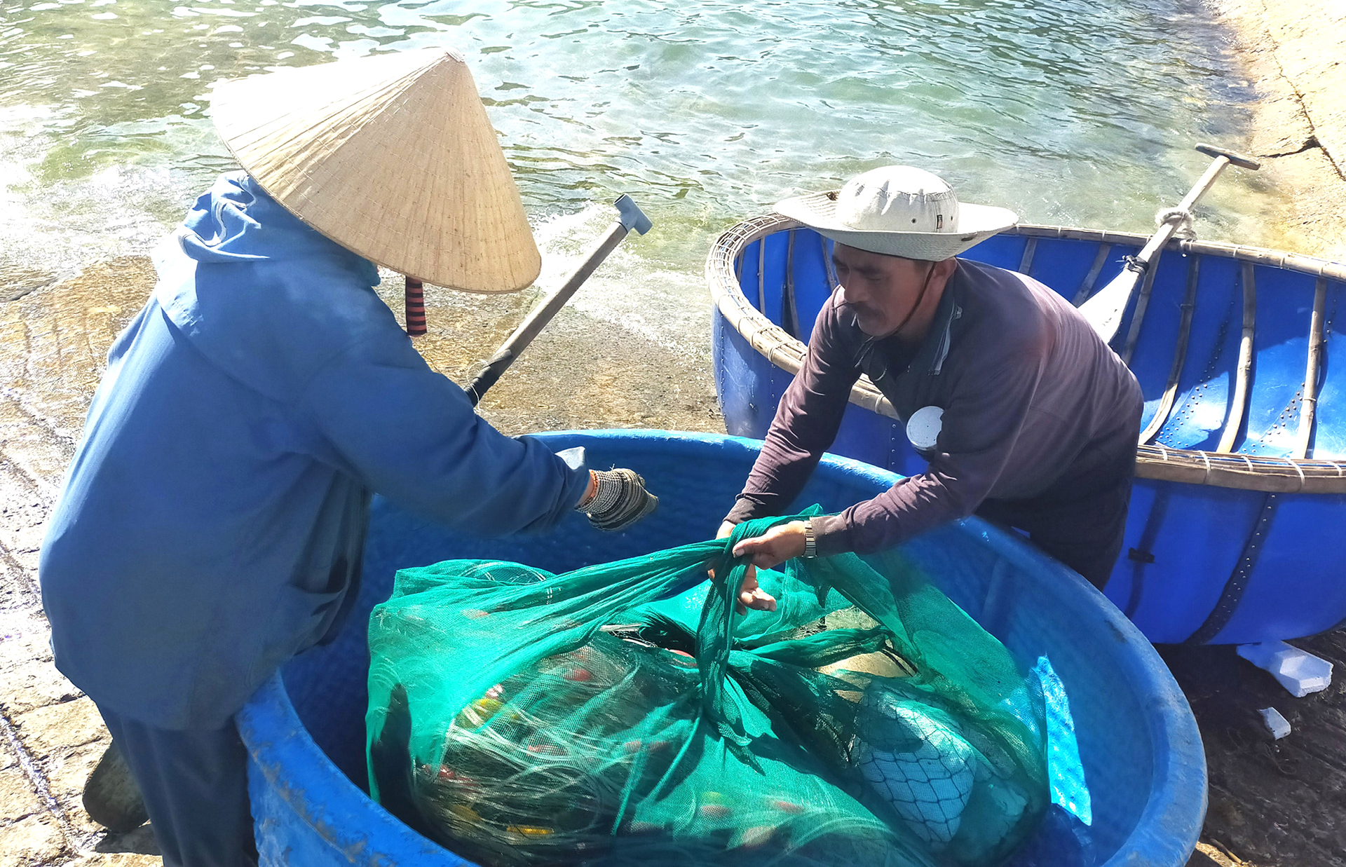 Săn tôm hùm biển kiếm bạc triệu mỗi ngày ảnh 4
