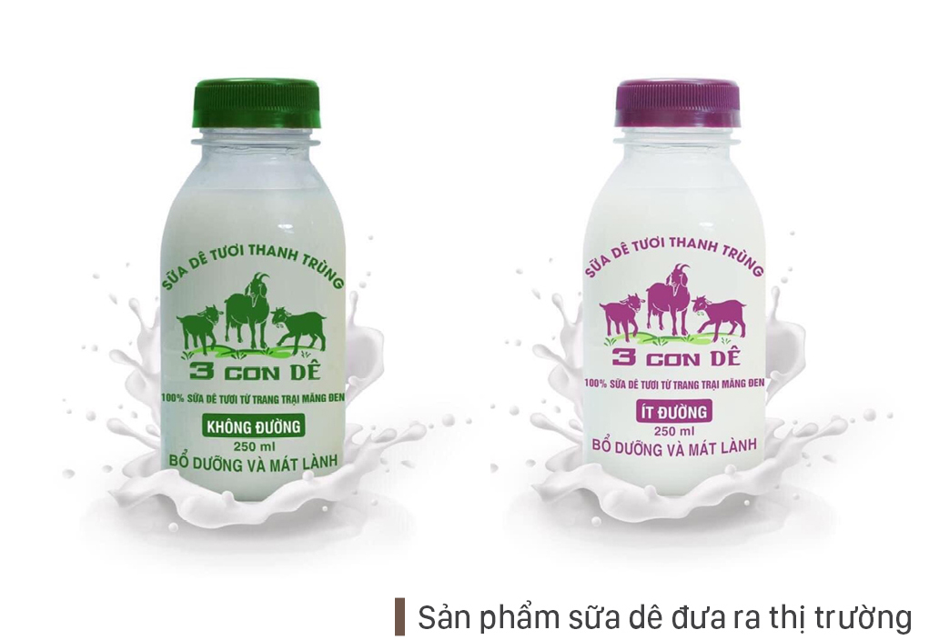 Trang trại 8.000 con dê sữa tại Măng Đen ảnh 15