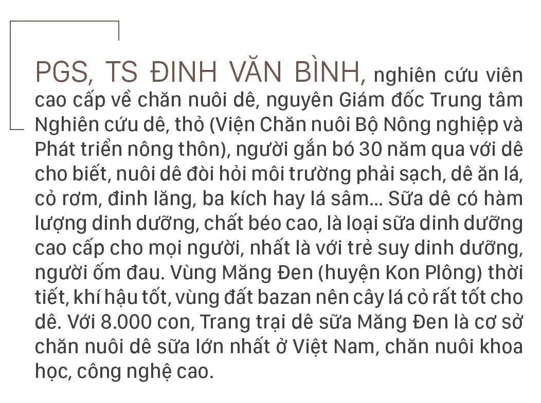 Trang trại 8.000 con dê sữa tại Măng Đen ảnh 9