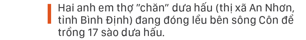Nông dân vật vã dưới nắng nóng khốc liệt ảnh 13