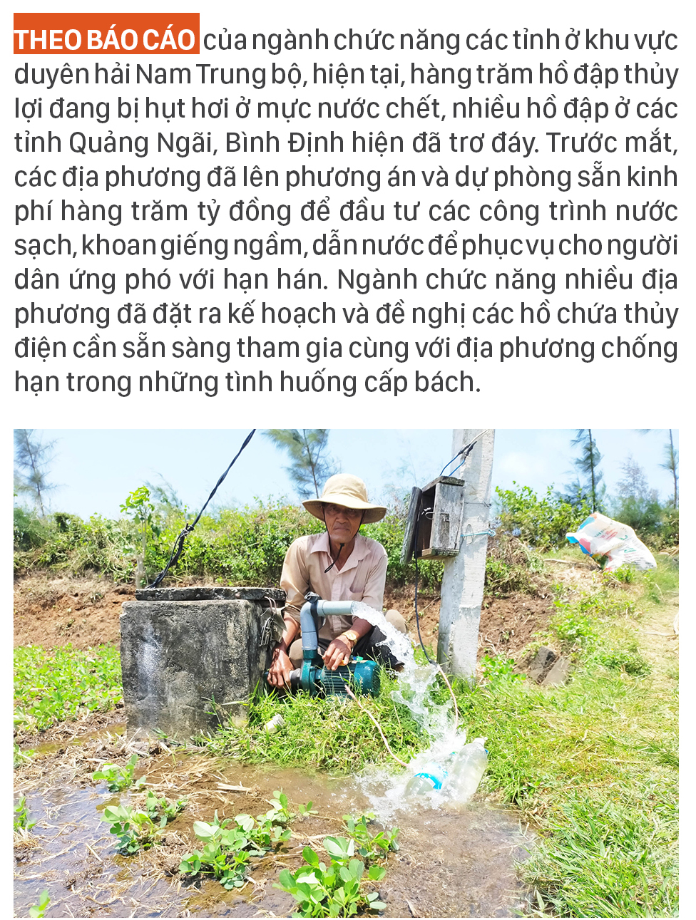 Nông dân vật vã dưới nắng nóng khốc liệt ảnh 14