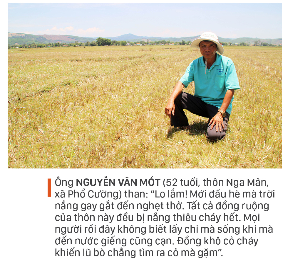 Nông dân vật vã dưới nắng nóng khốc liệt ảnh 3
