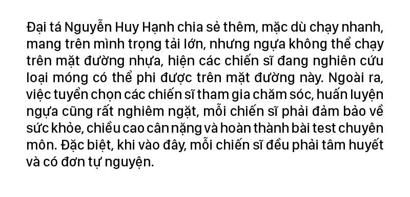 Cảnh sát cơ động Kỵ binh huấn luyện ngựa nghiệp vụ ảnh 18