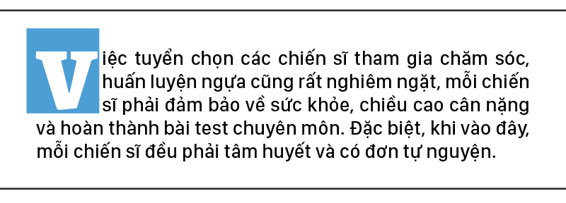 Cảnh sát cơ động Kỵ binh huấn luyện ngựa nghiệp vụ ảnh 1