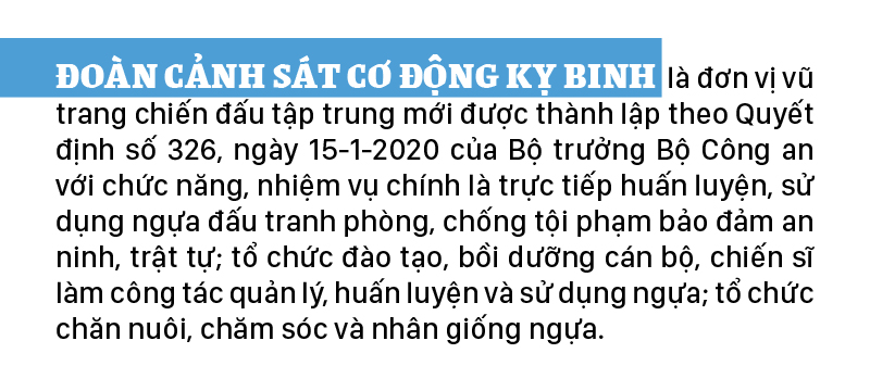 Cảnh sát cơ động Kỵ binh huấn luyện ngựa nghiệp vụ ảnh 2
