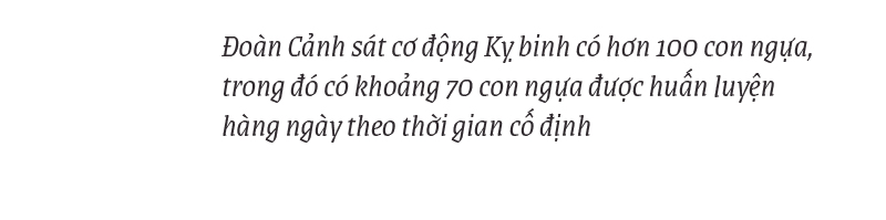 Cảnh sát cơ động Kỵ binh huấn luyện ngựa nghiệp vụ ảnh 5