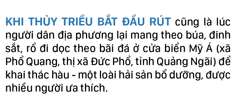 Nhọc nhằn nghề đẽo đá, đục hàu nơi cửa biển ảnh 1