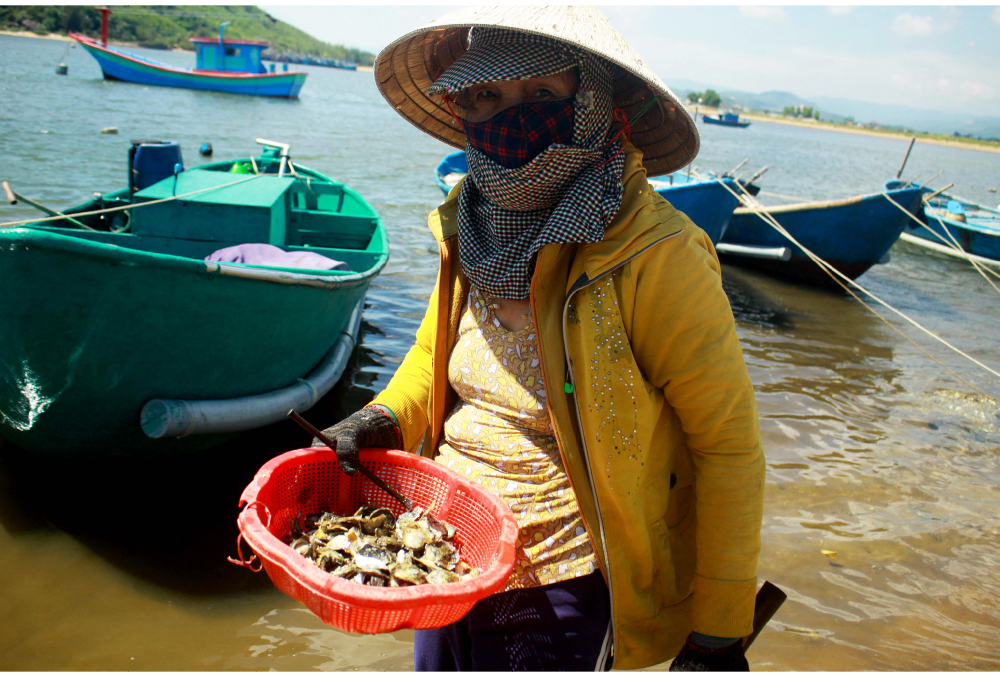 Nhọc nhằn nghề đẽo đá, đục hàu nơi cửa biển ảnh 6
