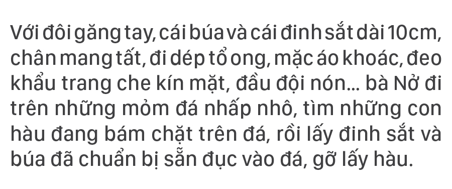Nhọc nhằn nghề đẽo đá, đục hàu nơi cửa biển ảnh 7