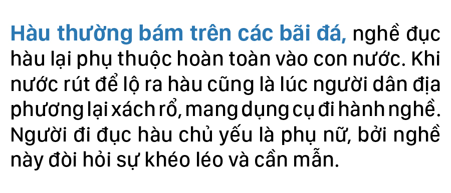 Nhọc nhằn nghề đẽo đá, đục hàu nơi cửa biển ảnh 3