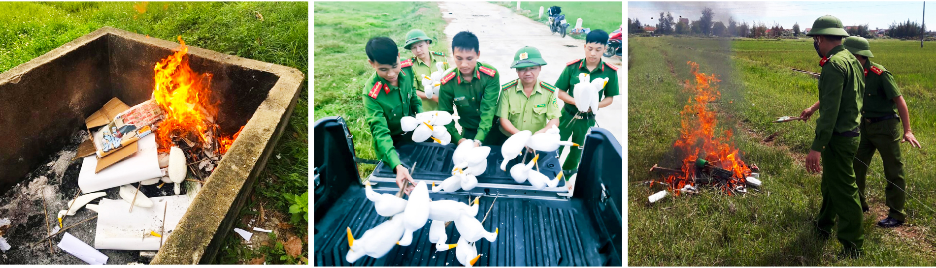 Hà Tĩnh đồng loạt truy quét ngăn nạn bẫy chim trời ảnh 10