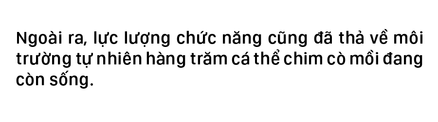 Hà Tĩnh đồng loạt truy quét ngăn nạn bẫy chim trời ảnh 11