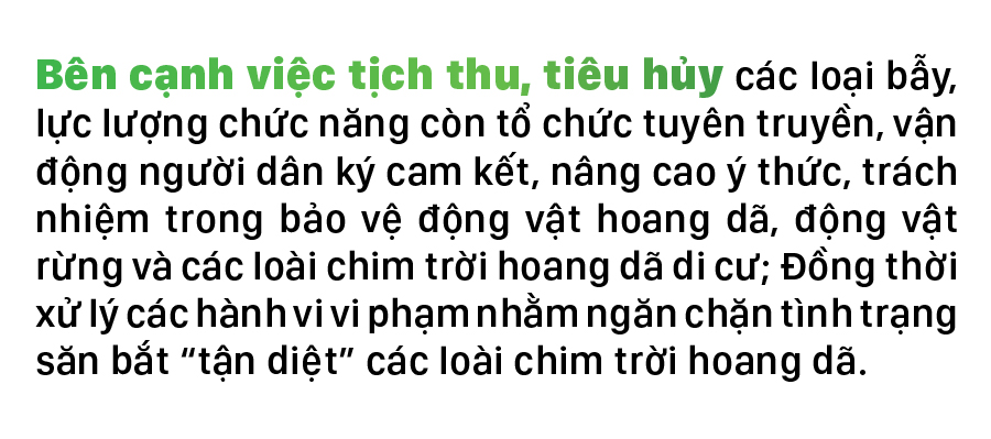 Hà Tĩnh đồng loạt truy quét ngăn nạn bẫy chim trời ảnh 13