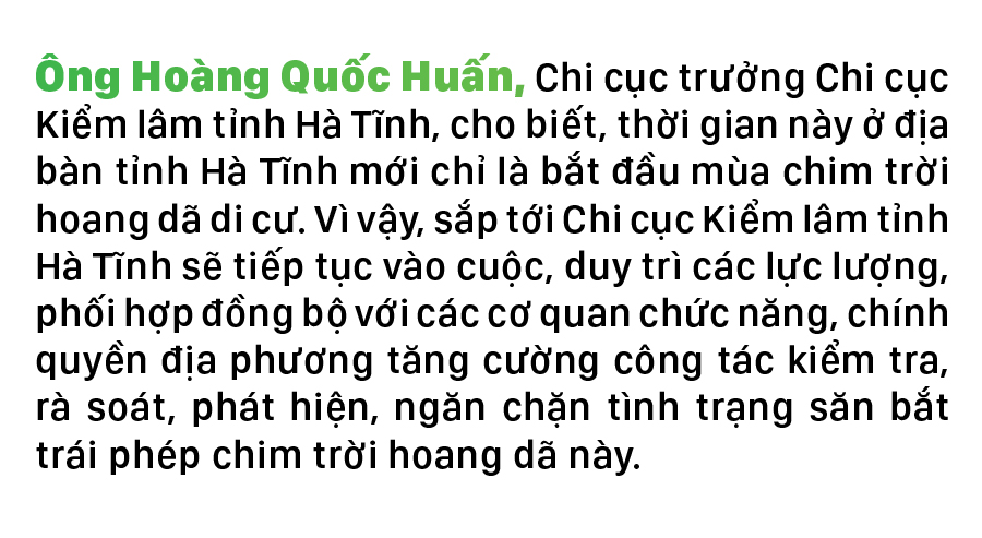 Hà Tĩnh đồng loạt truy quét ngăn nạn bẫy chim trời ảnh 15