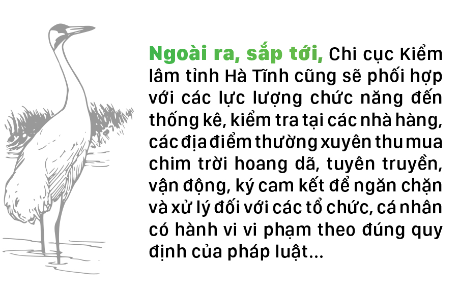 Hà Tĩnh đồng loạt truy quét ngăn nạn bẫy chim trời ảnh 17