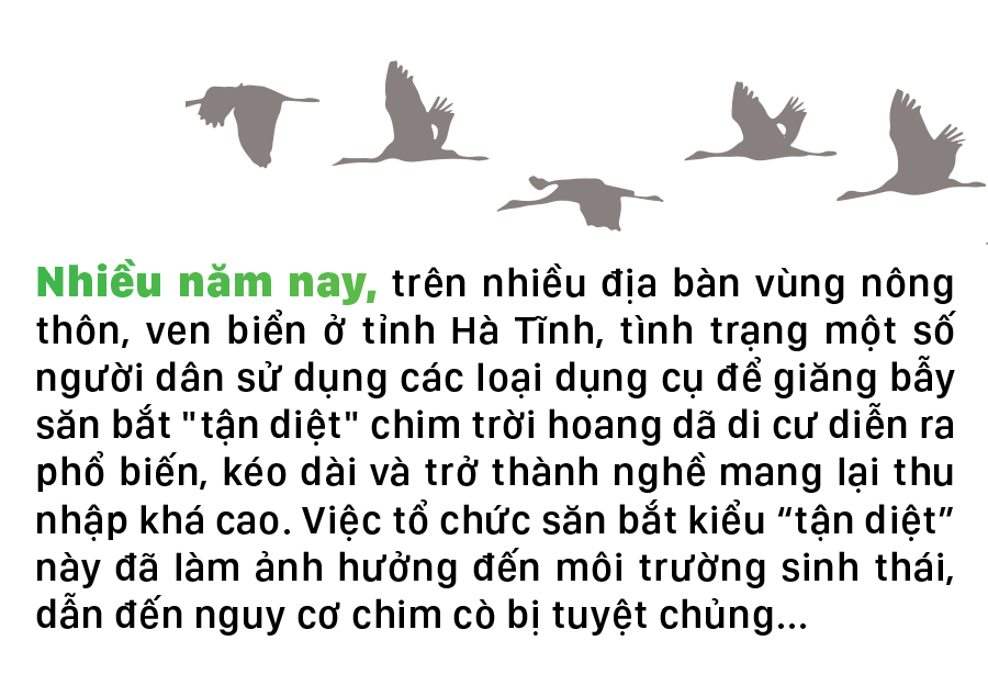 Hà Tĩnh đồng loạt truy quét ngăn nạn bẫy chim trời ảnh 1