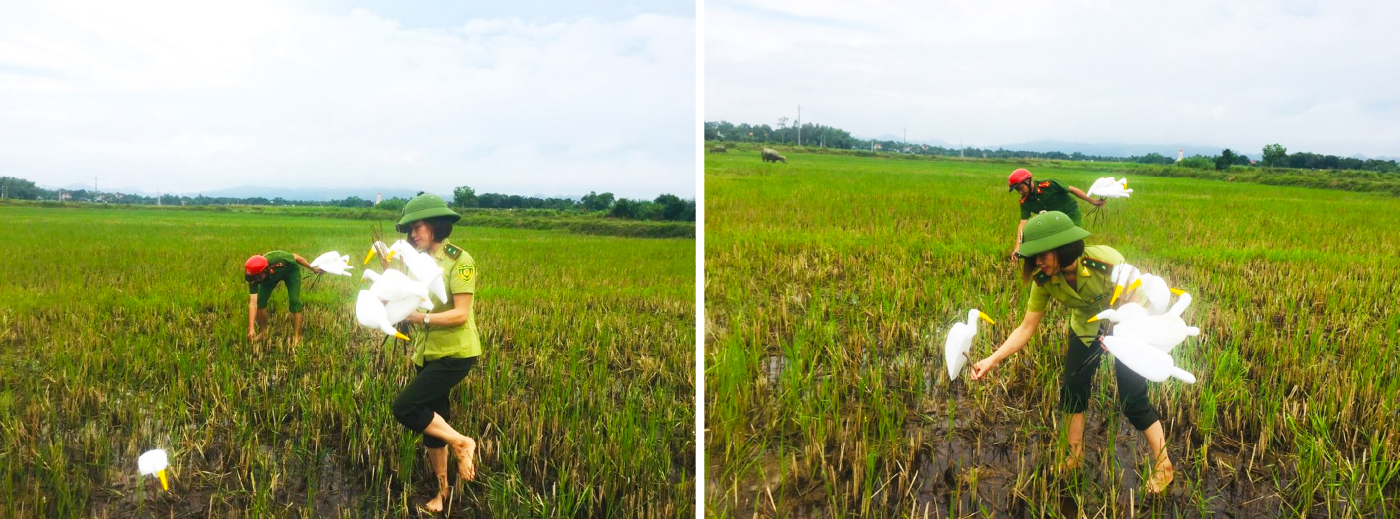 Hà Tĩnh đồng loạt truy quét ngăn nạn bẫy chim trời ảnh 5