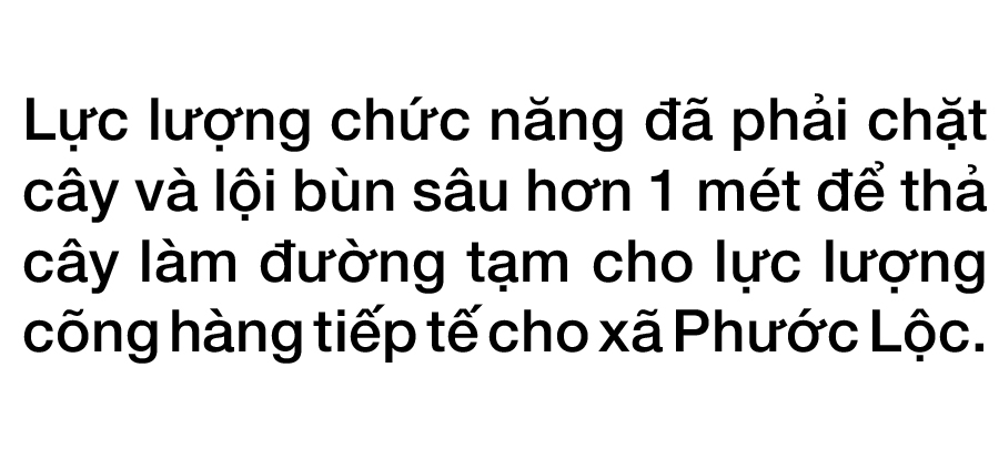 Phước Lộc tan hoang sau bão ảnh 16