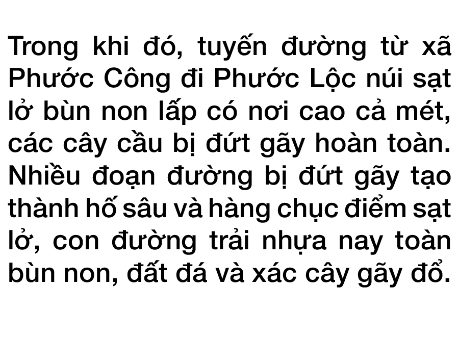 Phước Lộc tan hoang sau bão ảnh 8