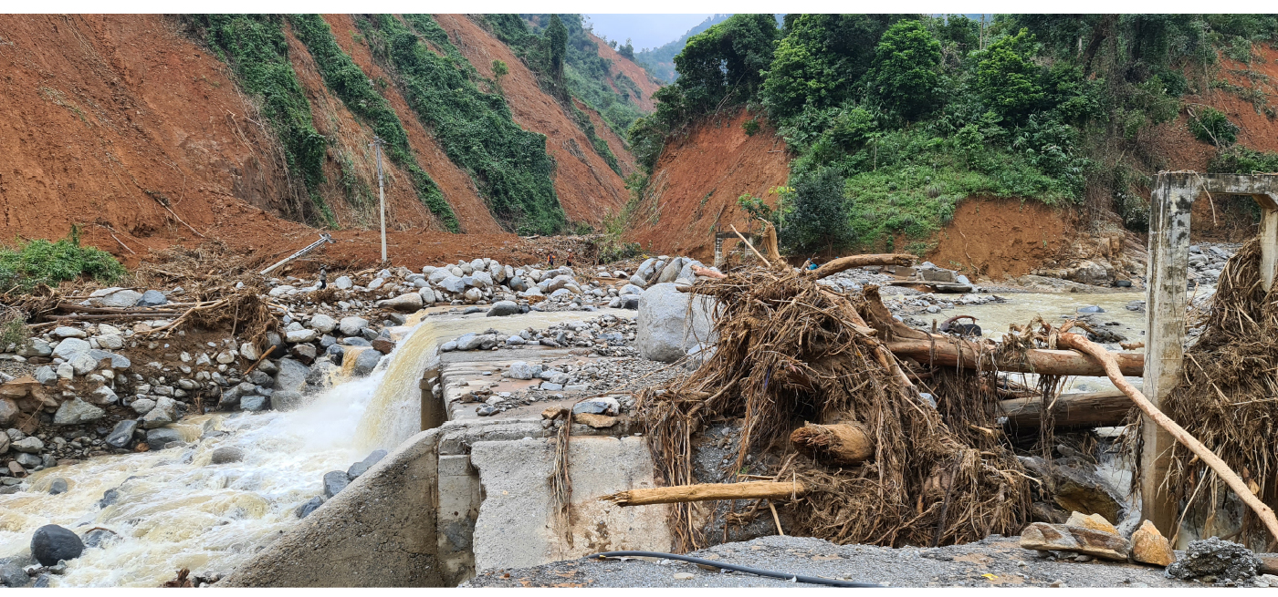 Phước Lộc tan hoang sau bão ảnh 9