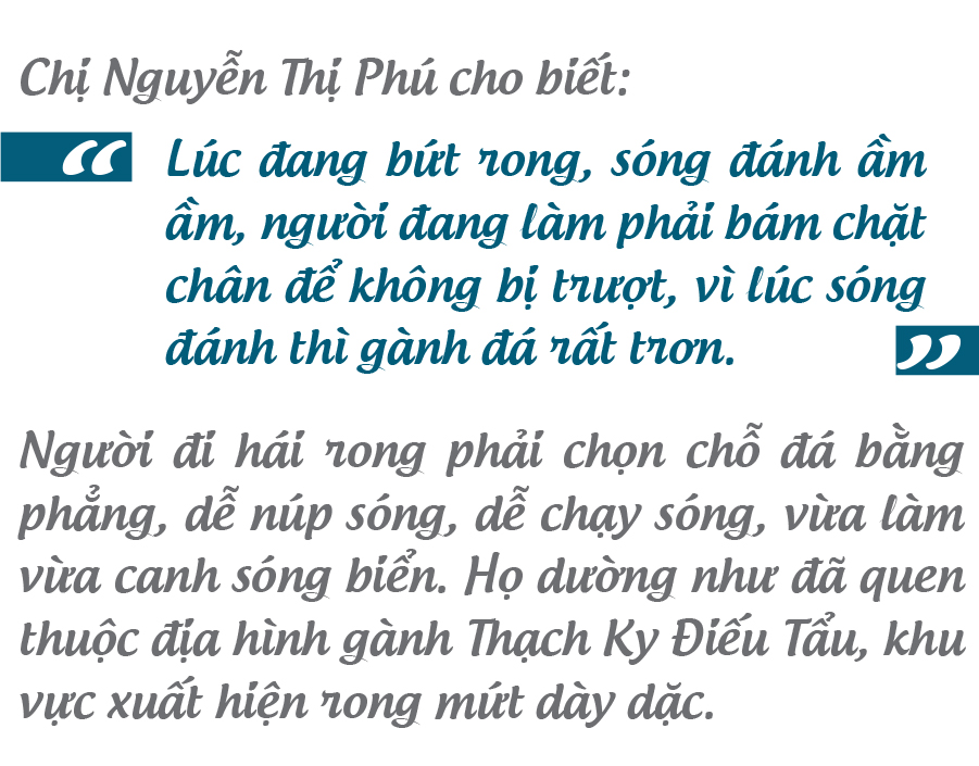 'Lộc biển' trên gành đá ảnh 13
