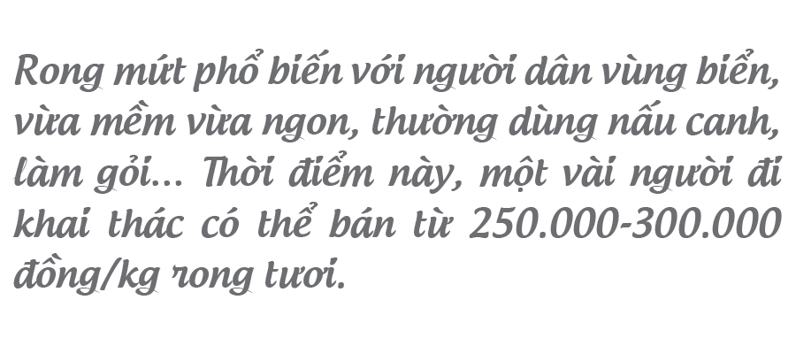 'Lộc biển' trên gành đá ảnh 17