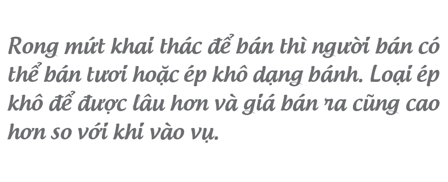 'Lộc biển' trên gành đá ảnh 21