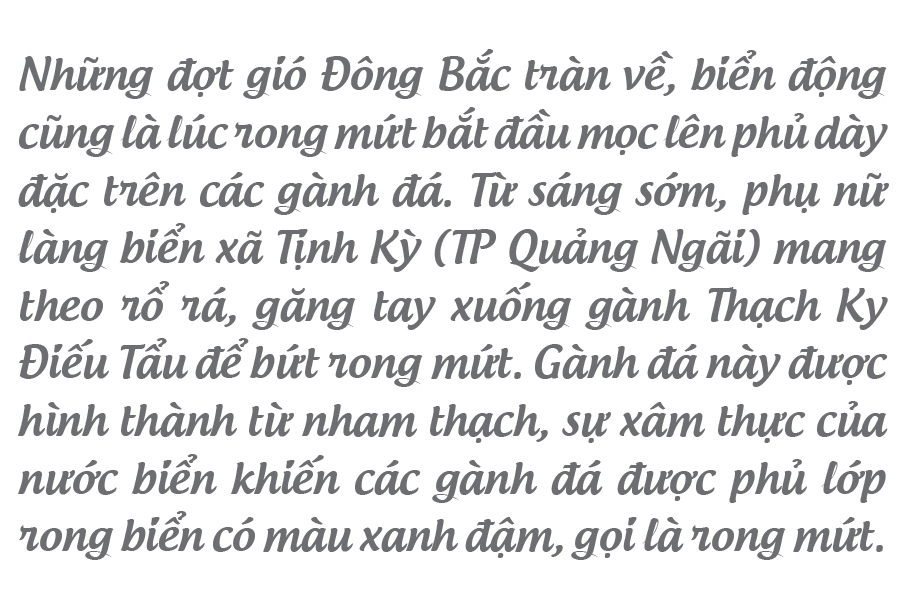 'Lộc biển' trên gành đá ảnh 3